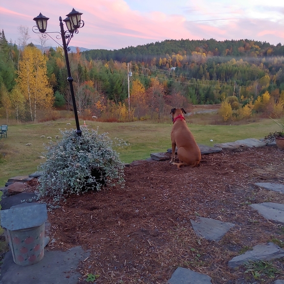 Meet your Posher, Candida - Picture 3 of 3